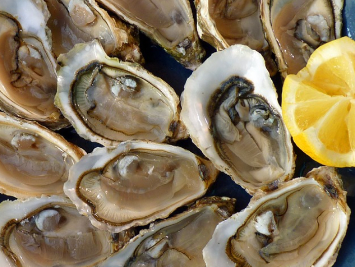 Oysters 101